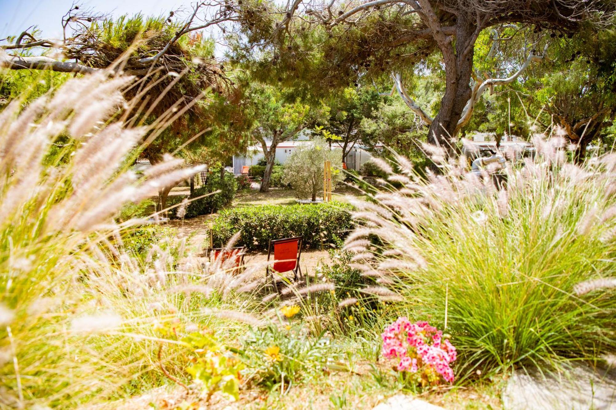 Camping Village Baia Falcone Vieste Bagian luar foto